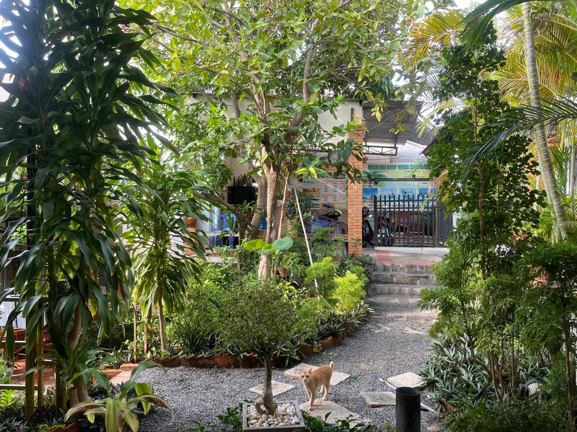 गेस्ट हाउस Garden And Kite School